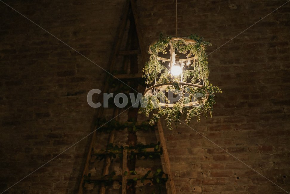 조명,식물,카페,인테리어,lighting,greenery,plant,감성사진,휴식