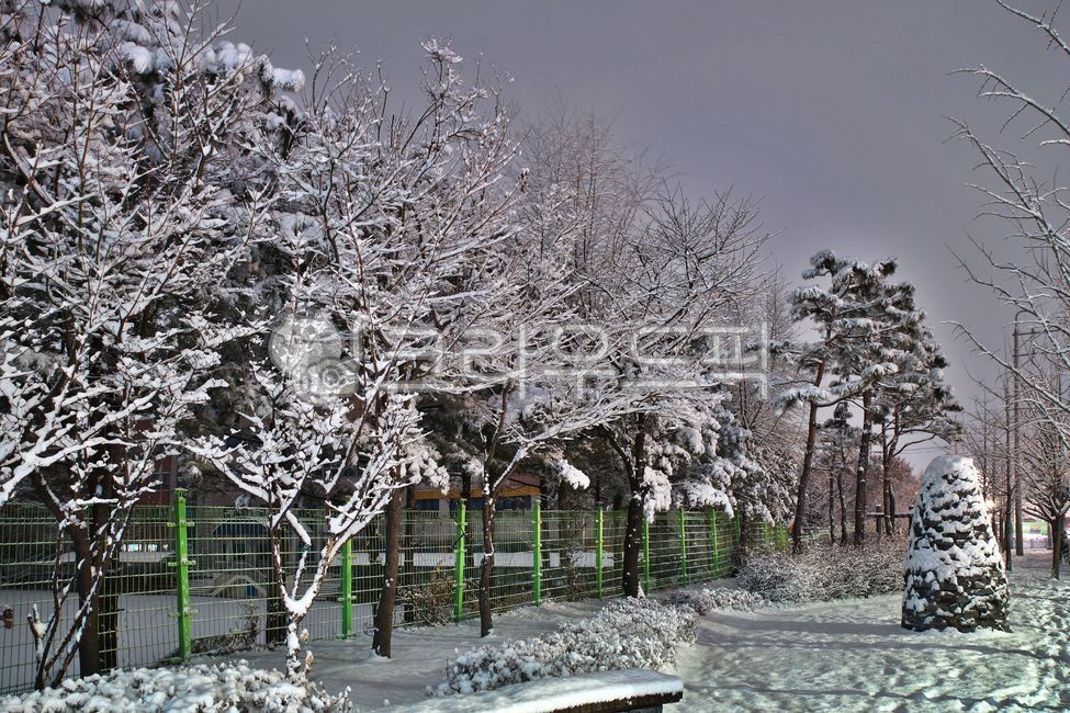 눈,겨울,한파,겨울밤,겨울풍경,겨울야경,겨울,계절,winter,season