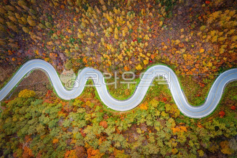 Gangwon-do,Munchijae,autumn,autumn road,drive,beautiful road,road,car,curve,mountain road,orange,red,green,maple leaves
