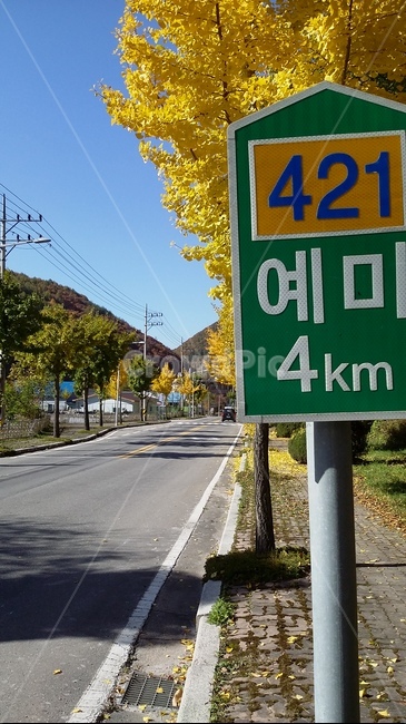 도로,간판,이정표,단풍,길,국도,가을,시골,한적함,은행