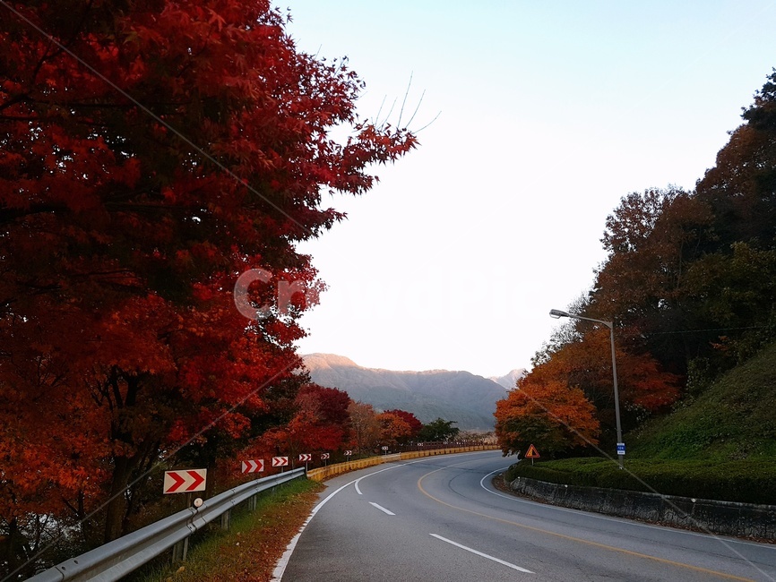 단풍,내장산,가을,하늘,풍경,국립공원,적막,새벽,한적함,나무,가을,계절,fall,autumn,season,asphalt,아스팔트,road,도로,highway,고속도로,freeway,고속 도로