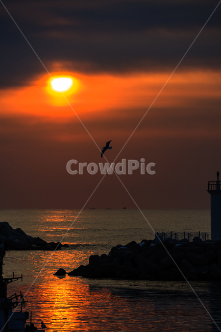 바닷가,일몰,태양,바다,하늘,실루엣,황혼,자연,풍경,nature,landscape,한국자연풍경,한국자연경관,korea nature landscape,animal,동물,bird,새,architecture,건축물,building,건물