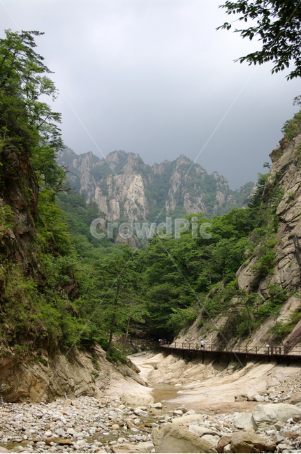 산,계곡,바위,암석,풍경,나무,설악산,자연,풍경,nature,landscape,mountain,outdoors,옥외