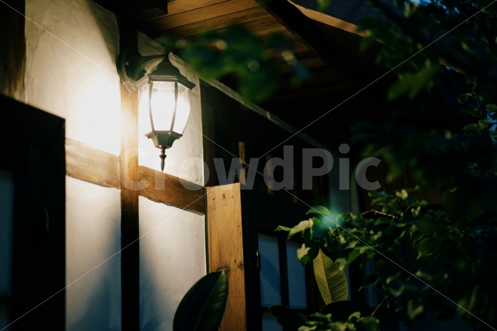 식물,자연풍경,꽃,감성사진,도시풍경,사물,여름,색감,일상,야경,밤,풍경,nightscape,night,landscape,감성,sensible,feeling