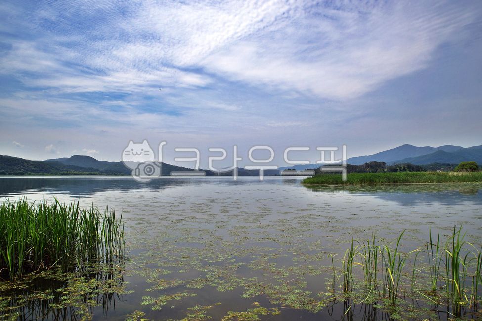 두물머리,양평,양수리,남한강,북한강,강,전원,자연,자연,풍경,nature,landscape