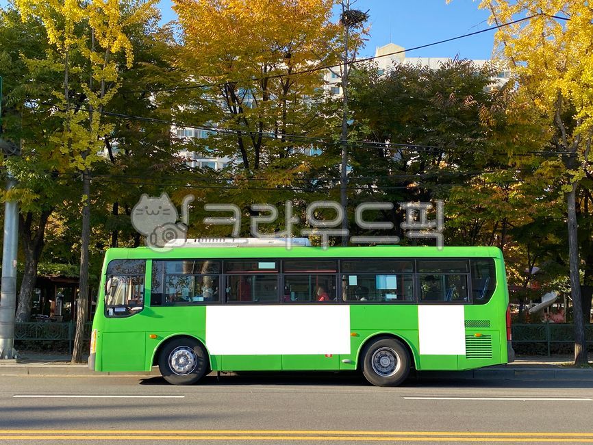 버스,버스광고,목업,목업이미지,광고,광고판,차량광고,시내버스광고,부착광고,옥외광고,판넬,비즈니스,상업광고판,도시배경,사인보드,상업광고,커머셜,비어있는,프레임,광고디자인,빈공간,배경,바탕,백그라운드,사각형광고판,차량,교통수단,bus,busadvertisement,mockup,mockupimage,billboard,vehicleadvertisement,citybusadvertisement,advertisement,outdooradvertisement,panel,business,commercialbillboard,citybackground,signboard,commercialadvertisement,commercial,free,frame,advertisingdesign,emptyspace,background