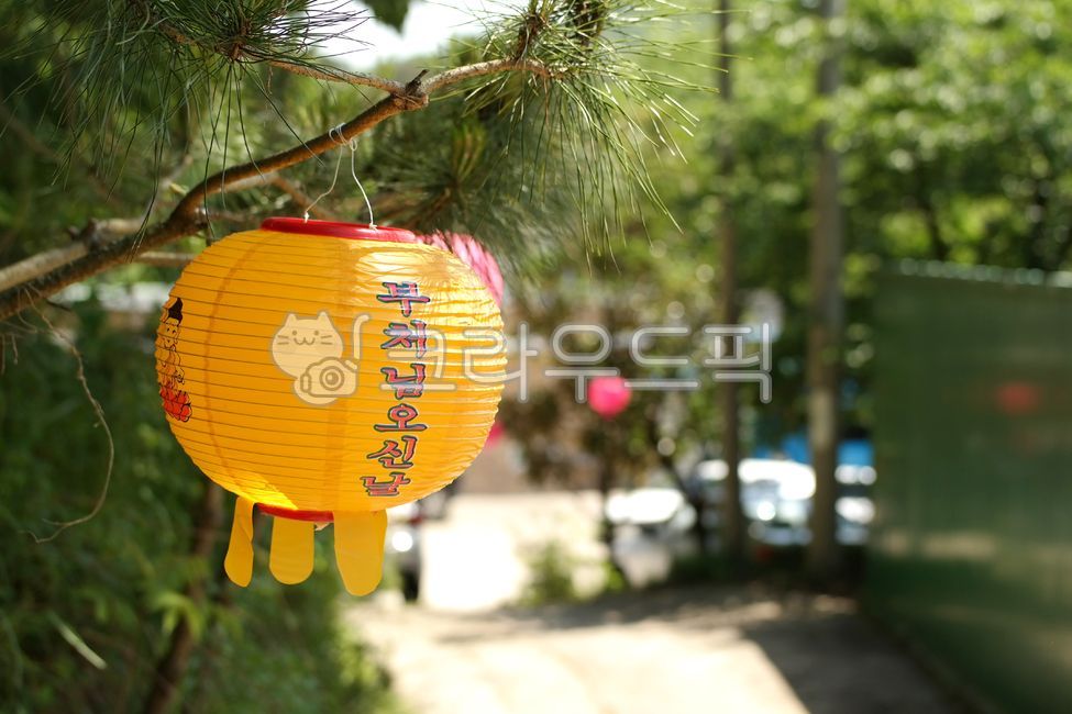lantern,Buddha's birthday,nature,landscape,background,scenery,Buddha,holiday,calendar,lantern,Buddha,Buddha's birthday