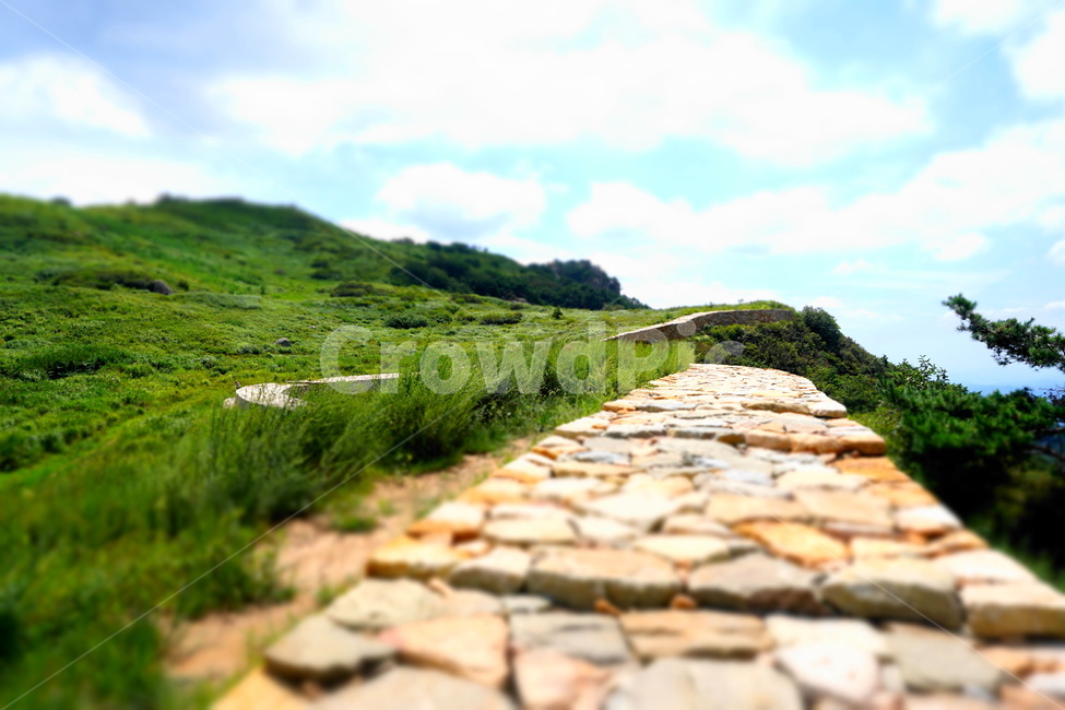 정상,산,등산,돌담,여름,등산길