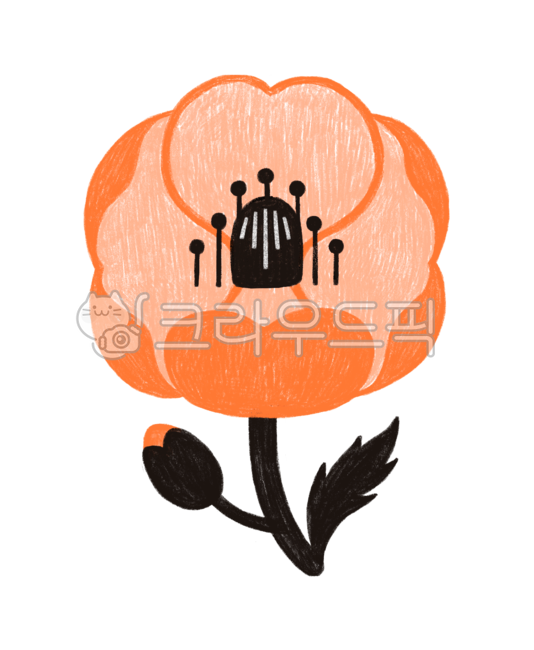 poppy,hand drawing,flower painting,black,leaf,Orange,flower,poppy picture,orange,flower hand drawing,painting,flower illustration,plant,color pencil,illustration