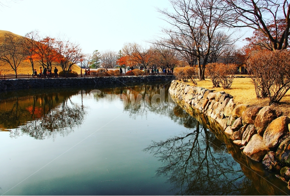 풍경,경주,반영,나무,물,가을,계절,fall,autumn,season,자연,풍경,nature,landscape,한국자연풍경,한국자연경관,korea nature landscape,랜드마크,landmark,tourist attraction,한국랜드마크,한국관광지,한국명소,korea landmark,korea tourist attraction,water,outdoors,옥외