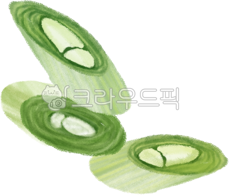 파, 대파, 슬라이스, 식재료, 농작물, 사진,이미지,일러스트,캘리그라피 - 베르에떼작가