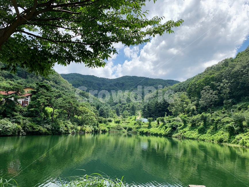 호수,여름,초록잎,풍경,경치,여름풍경,여름경치,nature,자연,water,물,맑음물,자연,풍경,nature,landscape,outdoors,옥외,vegetation,초목,plant,식물