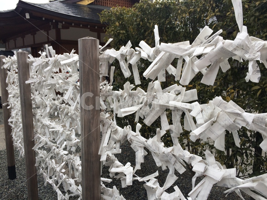 점,행운,일본,japan,fortune,luck,lucky
