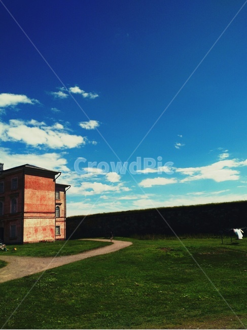 grass,잔디,nature,outdoors,옥외,자연,자연,풍경,nature,landscape,plant,식물