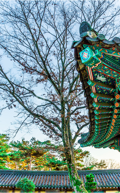 사찰,선,문양,무늬,불교,종각,한국전통,한국문화,korean traditional,korean culture,건축물,건물외관,exterior,building,structure,architecture,construction