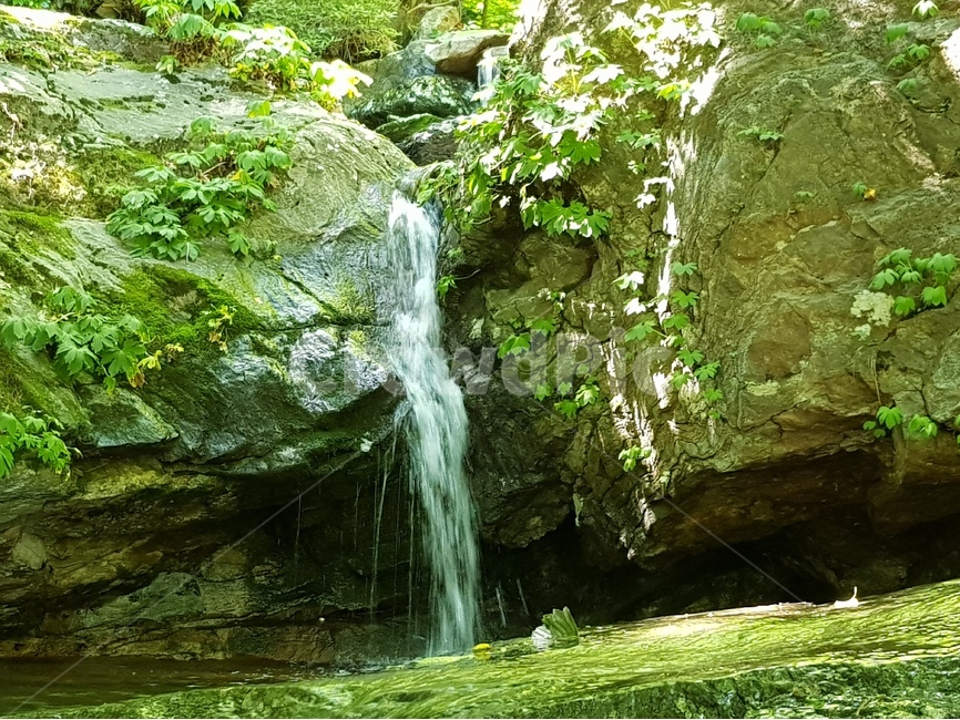 자연,시냇물,숲,awaterfall,물,냇가,개울,여름,계절,summer,season,자연,풍경,nature,landscape,water,outdoors,옥외,river,강,waterfall,폭포
