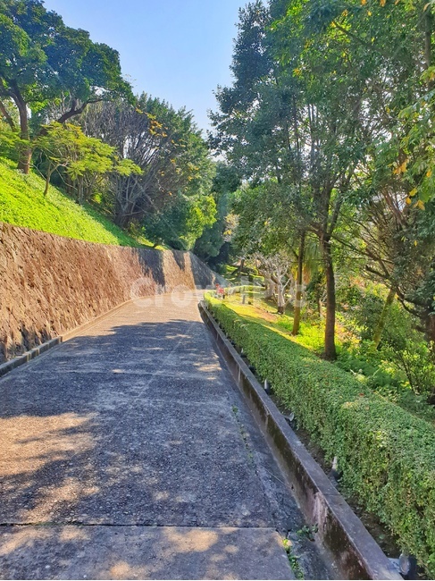 나무들,자연의길,편함,돌길,그림자,자연,풍경,nature,landscape,asphalt,아스팔트,road,도로