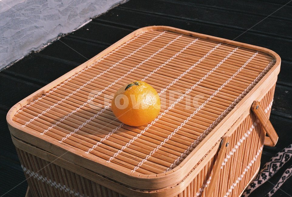citrusfruit,감귤류과일,orange,주황색,피크닉,필름사진,감성사진,과일,열매,fruit