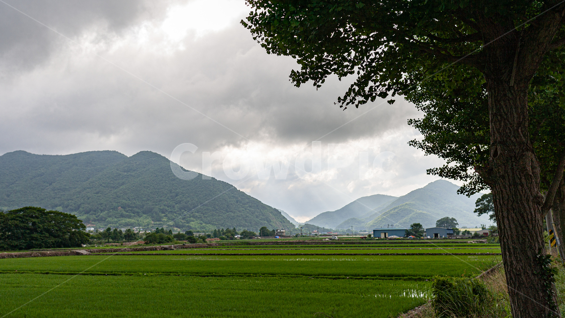 시골풍경,들판,자연,푸르름,능선,배경,시골,마을,풍경,landscape,country,rural,town
