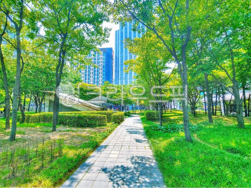 afternoon,road,tree,city park,park,nature background
