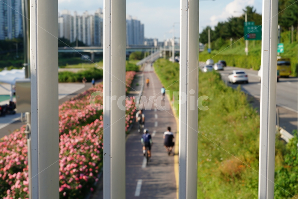 길,거리,person,사람,human,인간,road,도로,자전거