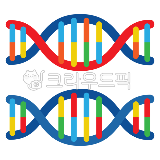 유전자,dna염기서열클립아트png,dna,dna염기서열표,gene,염기,염기서열,화학물질,유전공학,의학아이콘