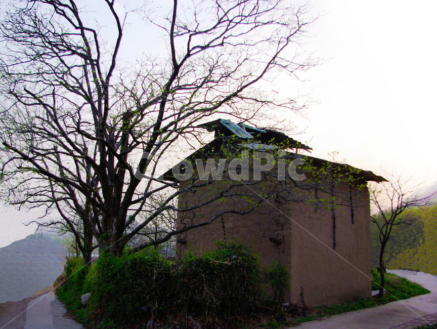 옥외,nature,자연,building,건물,건조장