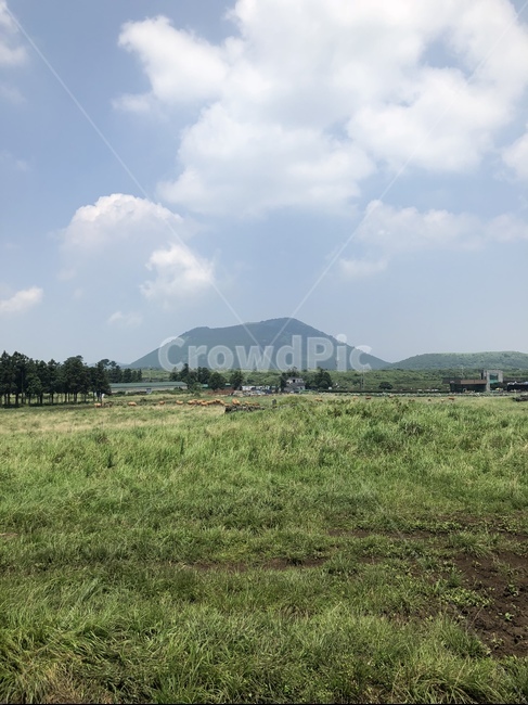 nature,자연,제주도,한라산,풀,들판,잔디,하늘,자연,풍경,nature,landscape,outdoors,옥외