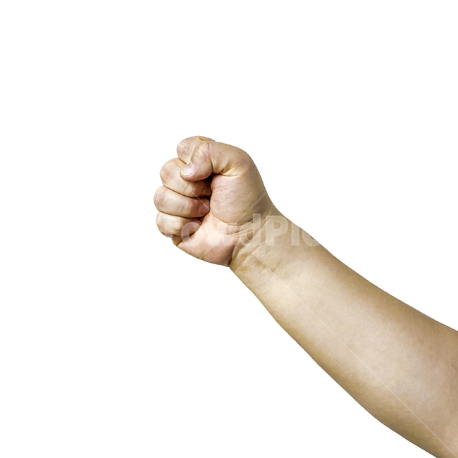 사람,person,human,인간,hand,손,주먹,가위바위보,사람손가락,신체일부,몸,body
