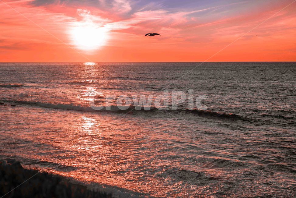 갈매기,노을,해,바다,자연,sunset,자연,풍경,nature,landscape