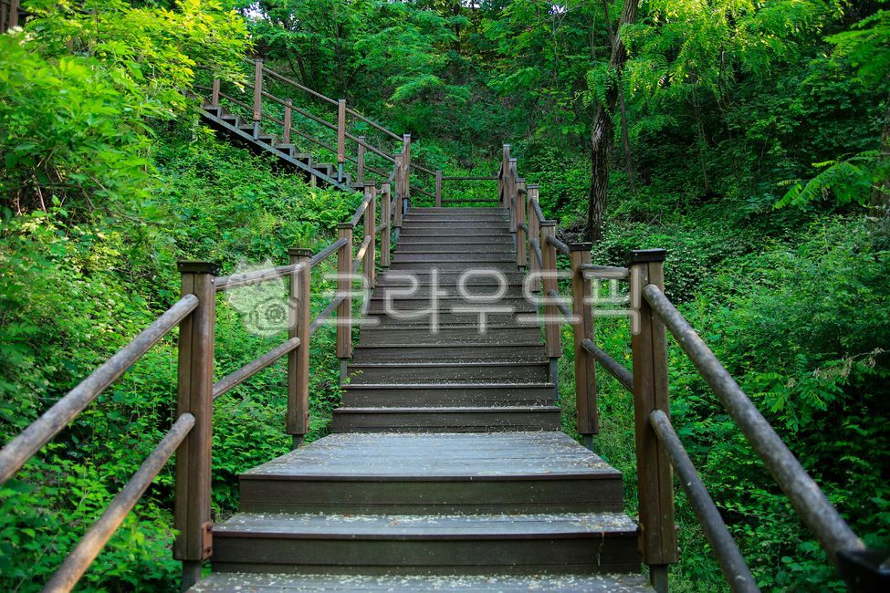 Gaeunsan,park,walking trail,perimeter road,road,railing,stairs,forest