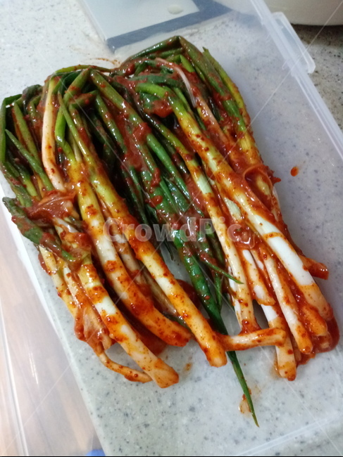 쪽파,파김치,식물,음식,food,plant,음식,식재료,요리,food,cook,meal,dishes,food reserves