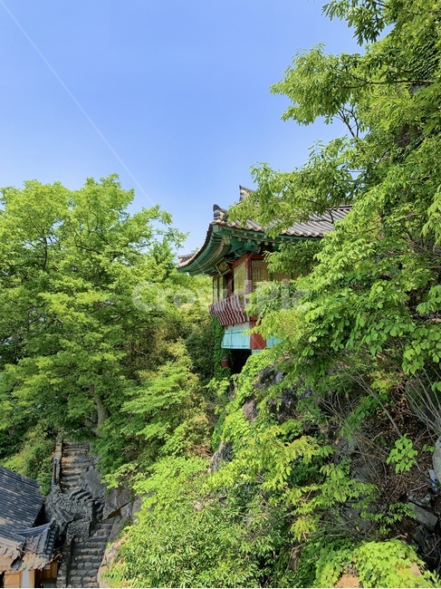 사성암,절,나무,우리나라절,사찰,한적한,고즈넉한,푸르름,temple,korea,traditional,forest,tree