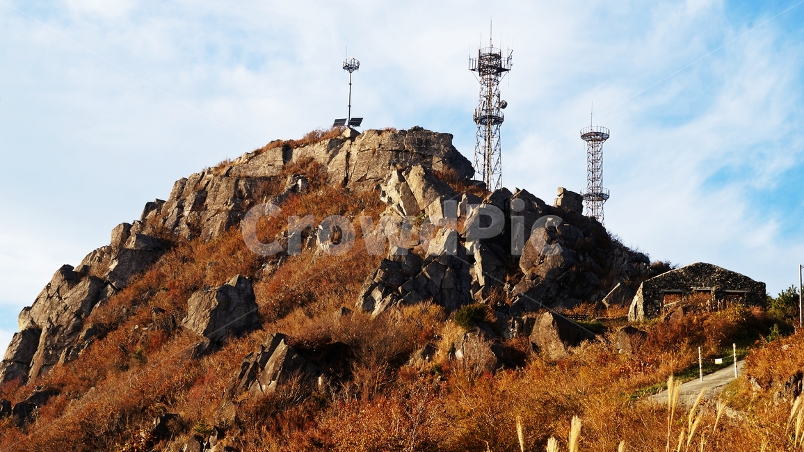 가을,가을산,가을풍경,계룡산,등산,가을,계절,fall,autumn,season