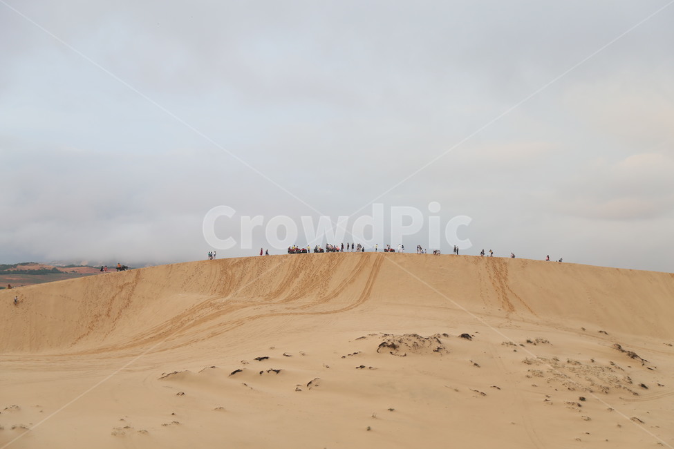 nature,자연,sand,모래,dune,모래언덕,사막,관광지,desert