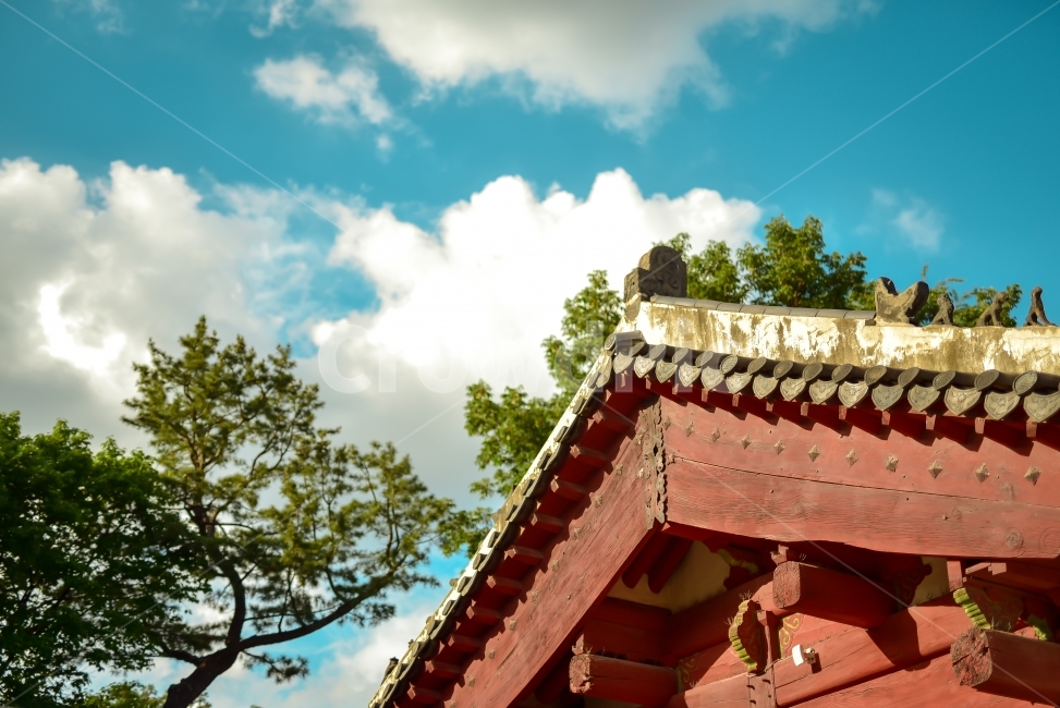 전통,한옥,전통가옥,하늘,기와,나무,한국전통,한국문화,korean traditional,korean culture,건축물,건물외관,exterior,building,structure,architecture,construction