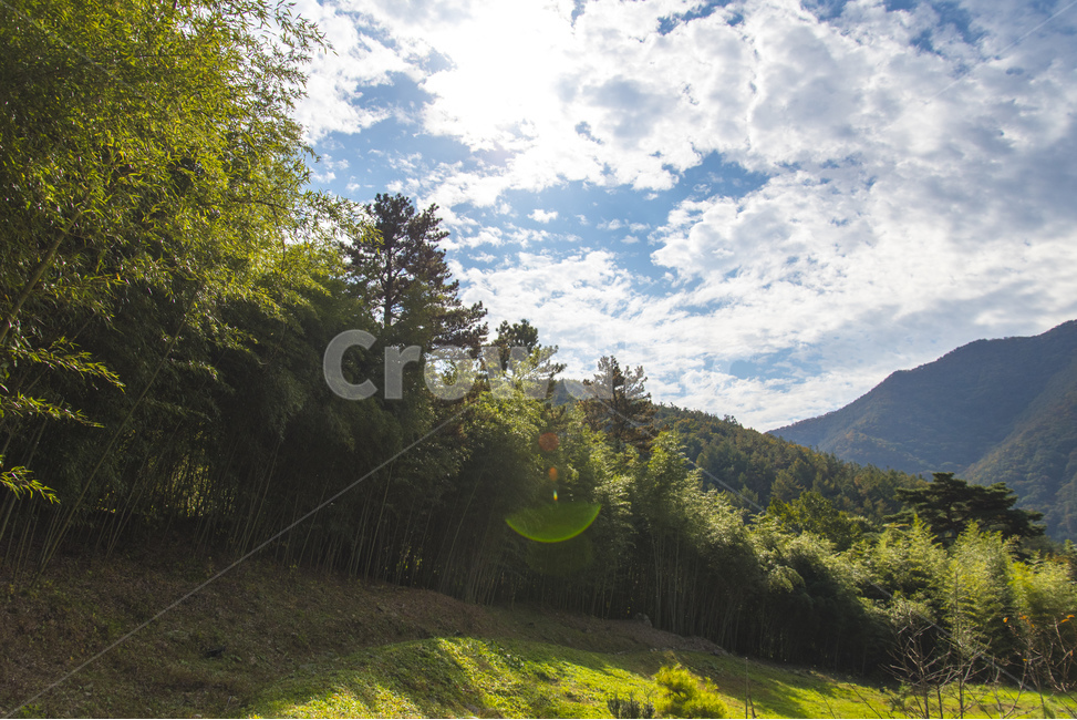 하늘,구름,나무,풍경,감성,자연,자연,풍경,nature,landscape,휴식,힐링,rest,relaxation,healing,outdoors,옥외,grassland,목초지,field,들