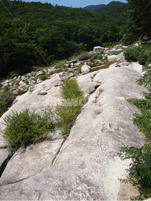 화양구곡,화양계곡,물,녹음,바위,숲,자연,풍경,nature,landscape
