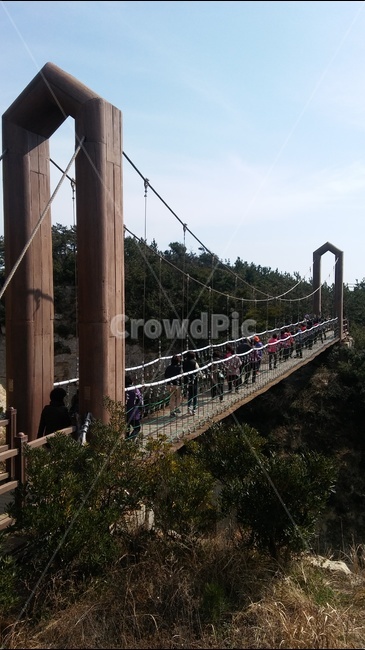출렁다리,산,숲,하늘,경치,사람들,대중,군중,other people,crowd