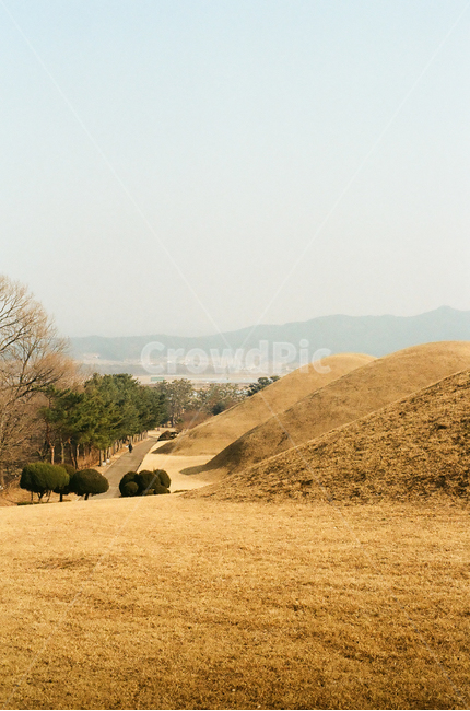 경주,문화재,무열왕릉,무덤,왕릉,tomb,가을,계절,fall,autumn,season,하늘,전통,한국,신라,한국전통,한국문화,koreantraditional,koreanculture,랜드마크,landmark,자연,풍경,nature,landscape,관광,관광지,감성,감성사진,빈티지,아날로그,필름,필름사진,필름카메라,film,filmcamera,sensible,feeling