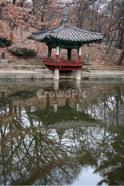 창덕궁,후원,애련정,세계문화유산,문화유산,한국,한국전통,한국문화,korean traditional,korean culture,랜드마크,landmark,tourist attraction,한국랜드마크,한국관광지,한국명소,korea landmark,korea tourist attraction