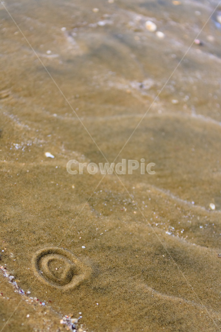 바닷가,모래,바다,연안,대한민국,물,해변,바다,beach,sea