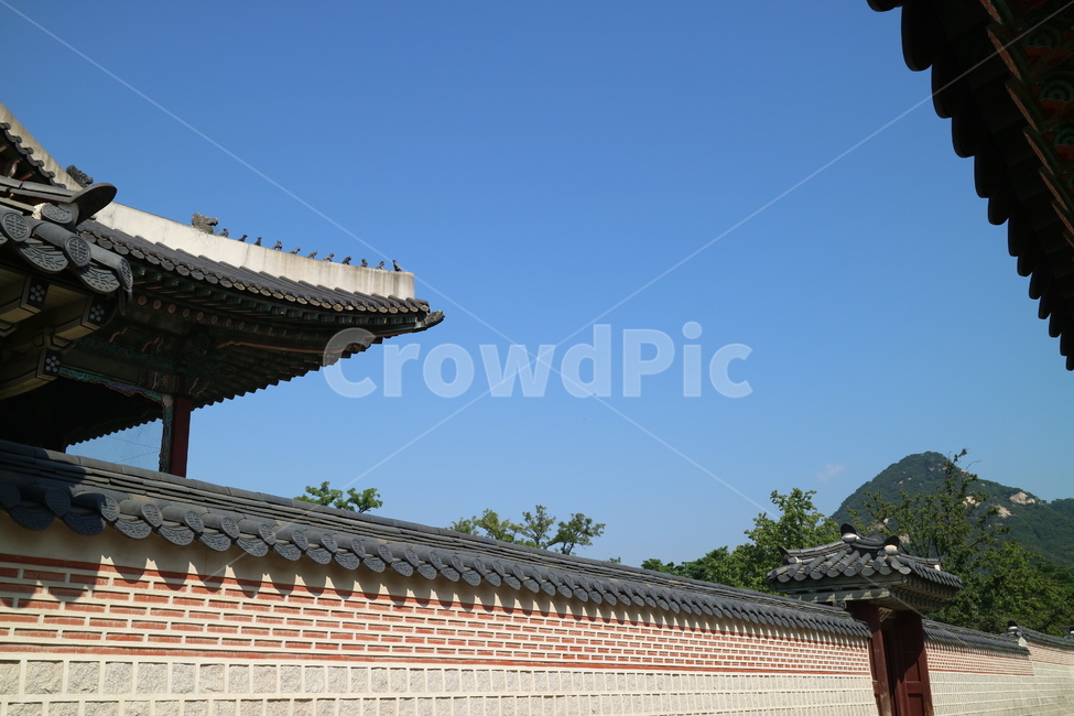고궁,궁전,한국,한국전통,건축,건물,동양건축,전통,민속,문화재,한국의고궁,한옥,대한민국,담,담장,한국전통,한국문화,korean traditional,korean culture,랜드마크,landmark,tourist attraction,한국랜드마크,한국관광지,한국명소,korea landmark,korea tourist attraction,건축물,건물외관,exterior,building,structure,architecture,construction