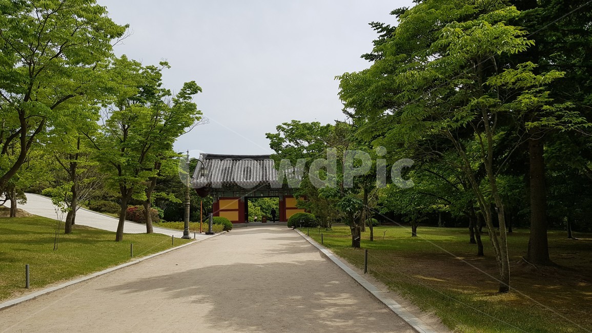 산,불교,옥외,outdoors,temple