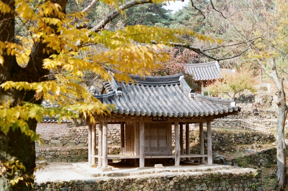 가을,담양,소쇄원,식영정,풍경사진,landscape,출사,가을풍경,단풍,은행,감성,쓸쓸함,필름사진,필름,가을,계절,fall,autumn,season,시골,마을,풍경,landscape,country,rural,town,한국전통,한국문화,korean traditional,korean culture,building,건물,농촌,outdoors,옥외,nature,자연