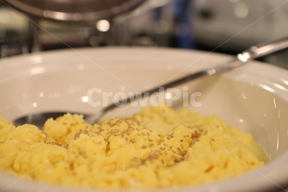 외식,음식,요리,food,계란,egg