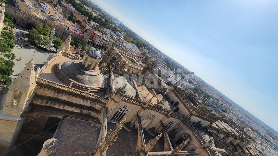 스페인,세비야,세빌리야,spain,sevilla,세비야대성당,성당,대성당,catholic,church,건축물,landscape,경치,outdoors,옥외,nature,scenery,풍경,자연