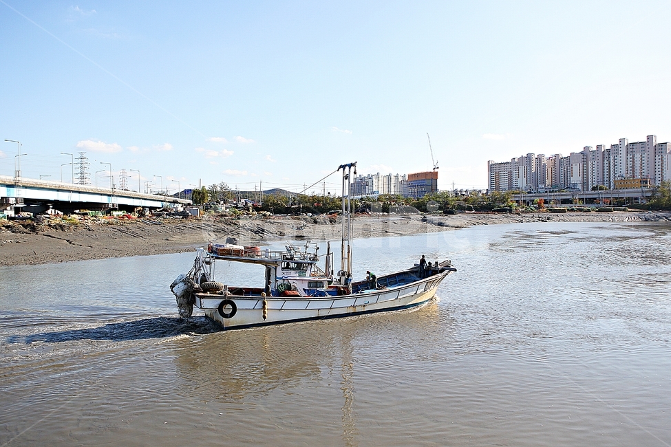 배,어선,선박,바다,고기잡이,어업,난업,파도,물,물살,풍경,자연,어업,fishery,fishing industry