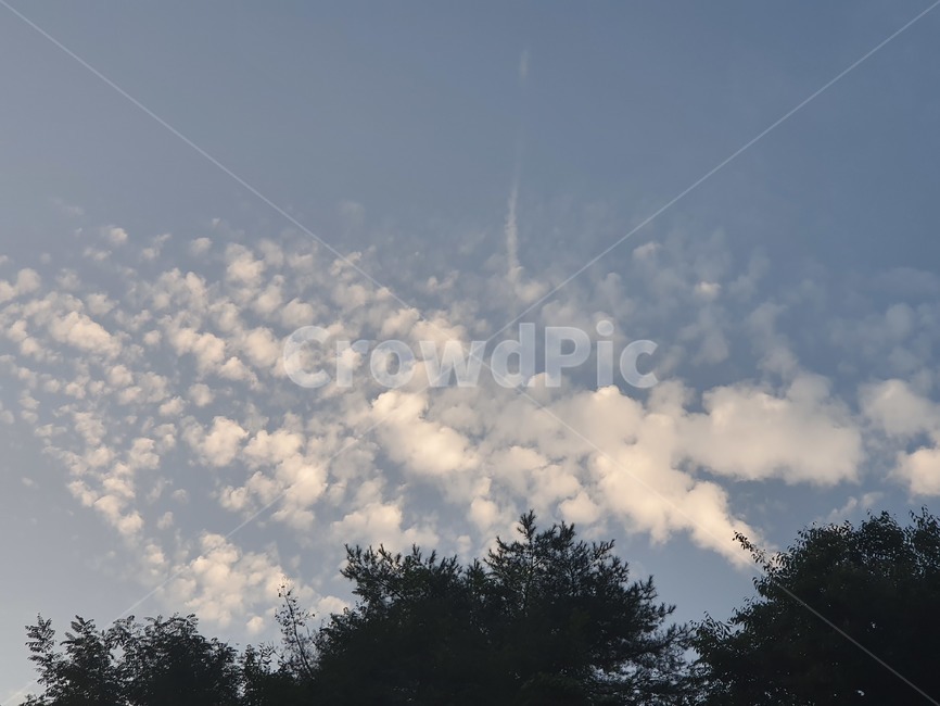자연,날씨,하늘,나무,식물,outdoors,옥외,cumulus,적운,cloud,구름,weather,nature,자연,풍경,nature,landscape,sky