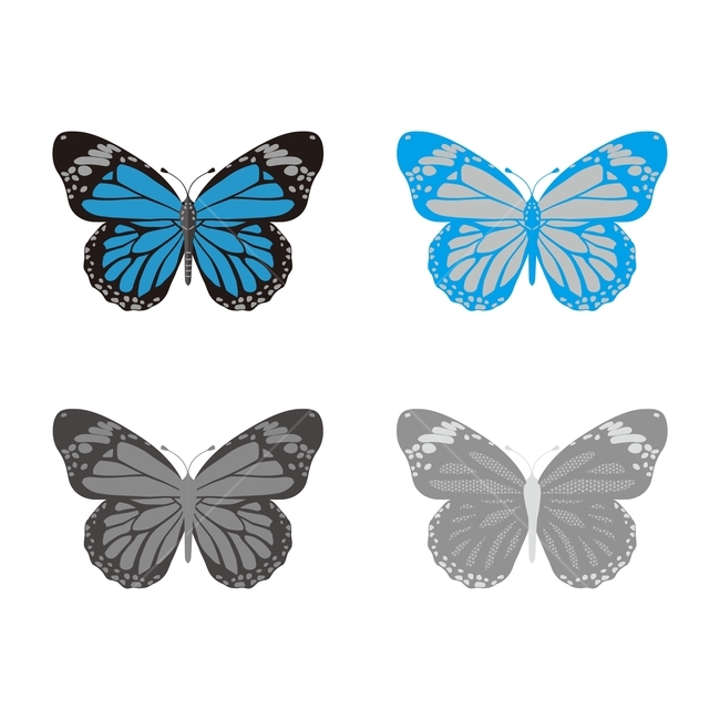 나비,곤충,butterfly,character,벌레,insect,bug,그래픽,일러스트,graphic,illustration